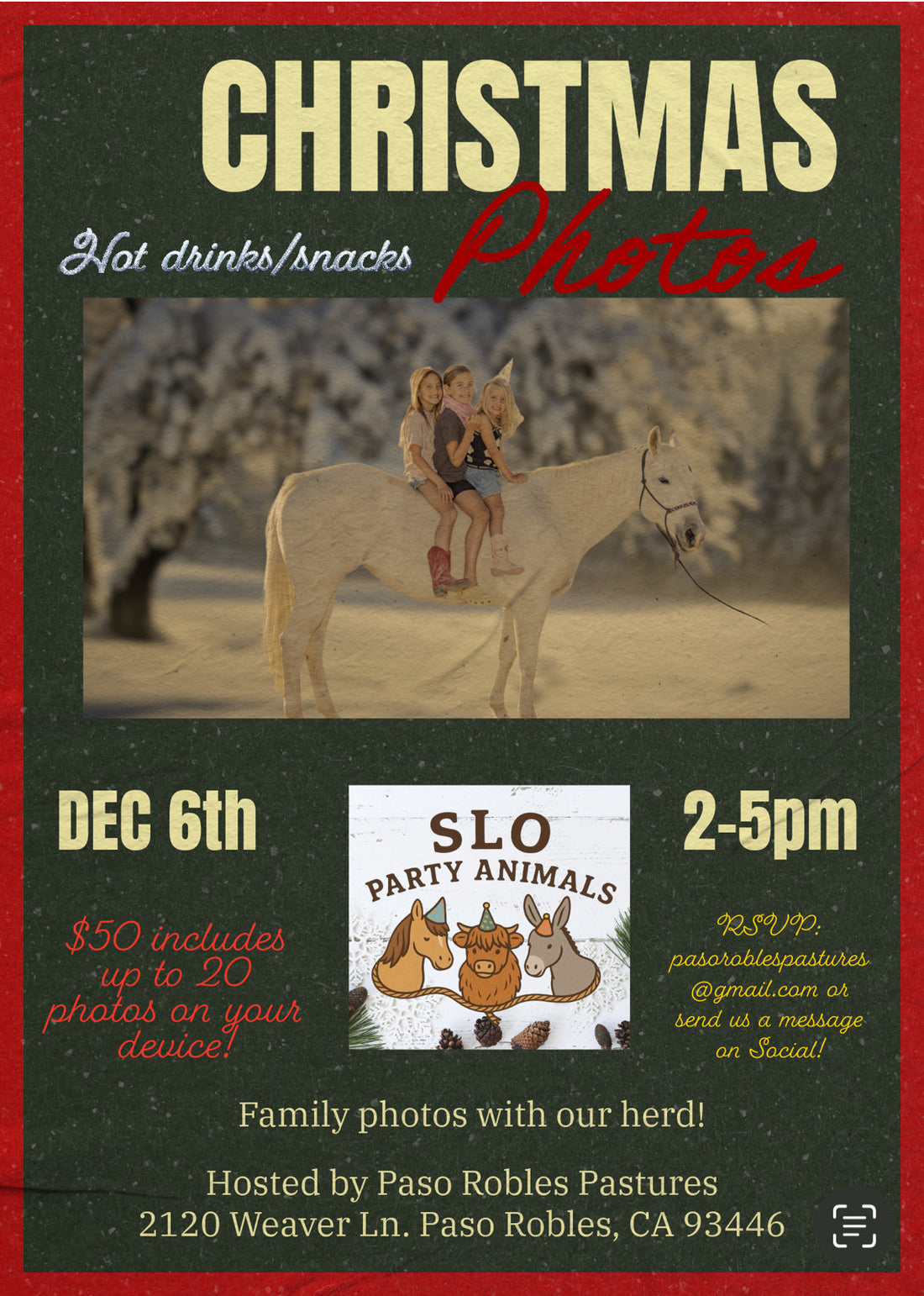 Christmas Photo Shoot with our fur babies!